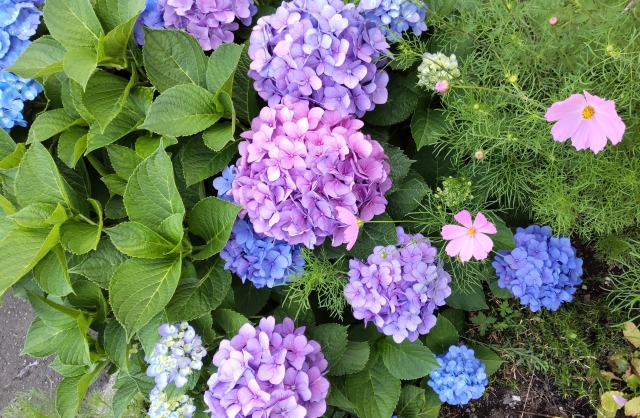 test